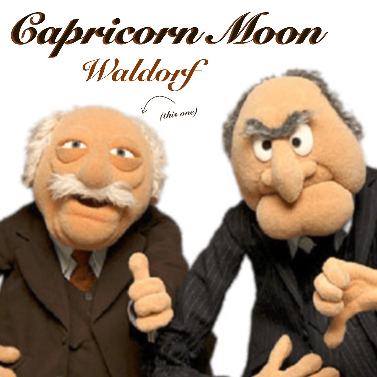 SEENHORSE (She/They) tweet media