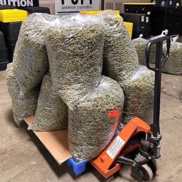 How long is this taking you? 👀💨

#StonerFam #Mmemberville #WeedLovers #CannabisCommunity