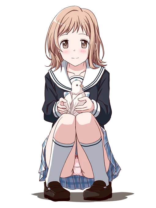今日はハトの日
