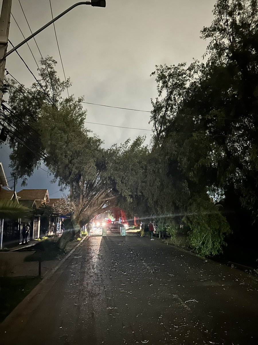 VicktorQuiroz's tweet photo. @mpuentealto por estos motivos uno pelea que poden Los árboles, ahora el problema lo tenemos nosotros al estar sin luz @germancodina https://t.co/Zk1sNCiLmg