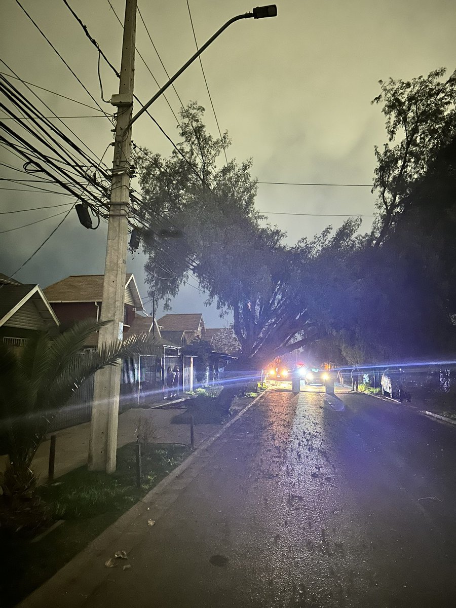 VicktorQuiroz's tweet photo. @mpuentealto por estos motivos uno pelea que poden Los árboles, ahora el problema lo tenemos nosotros al estar sin luz @germancodina https://t.co/Zk1sNCiLmg