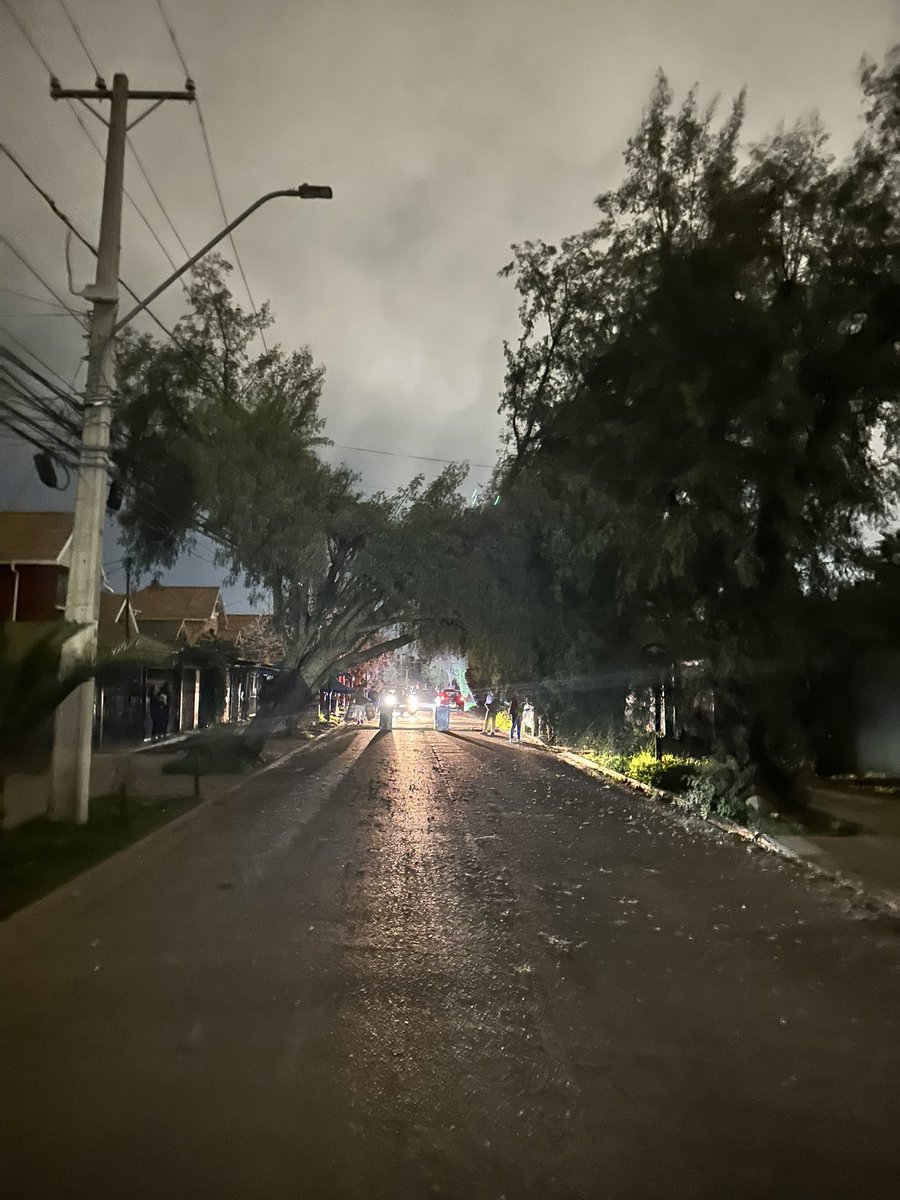VicktorQuiroz's tweet photo. @mpuentealto por estos motivos uno pelea que poden Los árboles, ahora el problema lo tenemos nosotros al estar sin luz @germancodina https://t.co/Zk1sNCiLmg