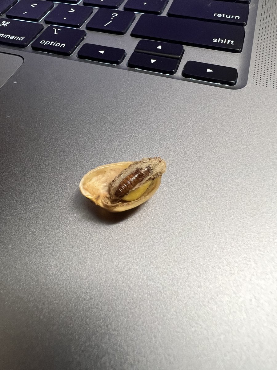 caroogie's tweet photo. JUST FOUND A CARCASS IN MY @WonderfulNuts  PISTACHIOS! No words other than I am absolutely horrified, disgusted and disturbed. NEVER will I EVER reach my hand for these again. #NotSoWonderful https://t.co/3uqEP148Gh