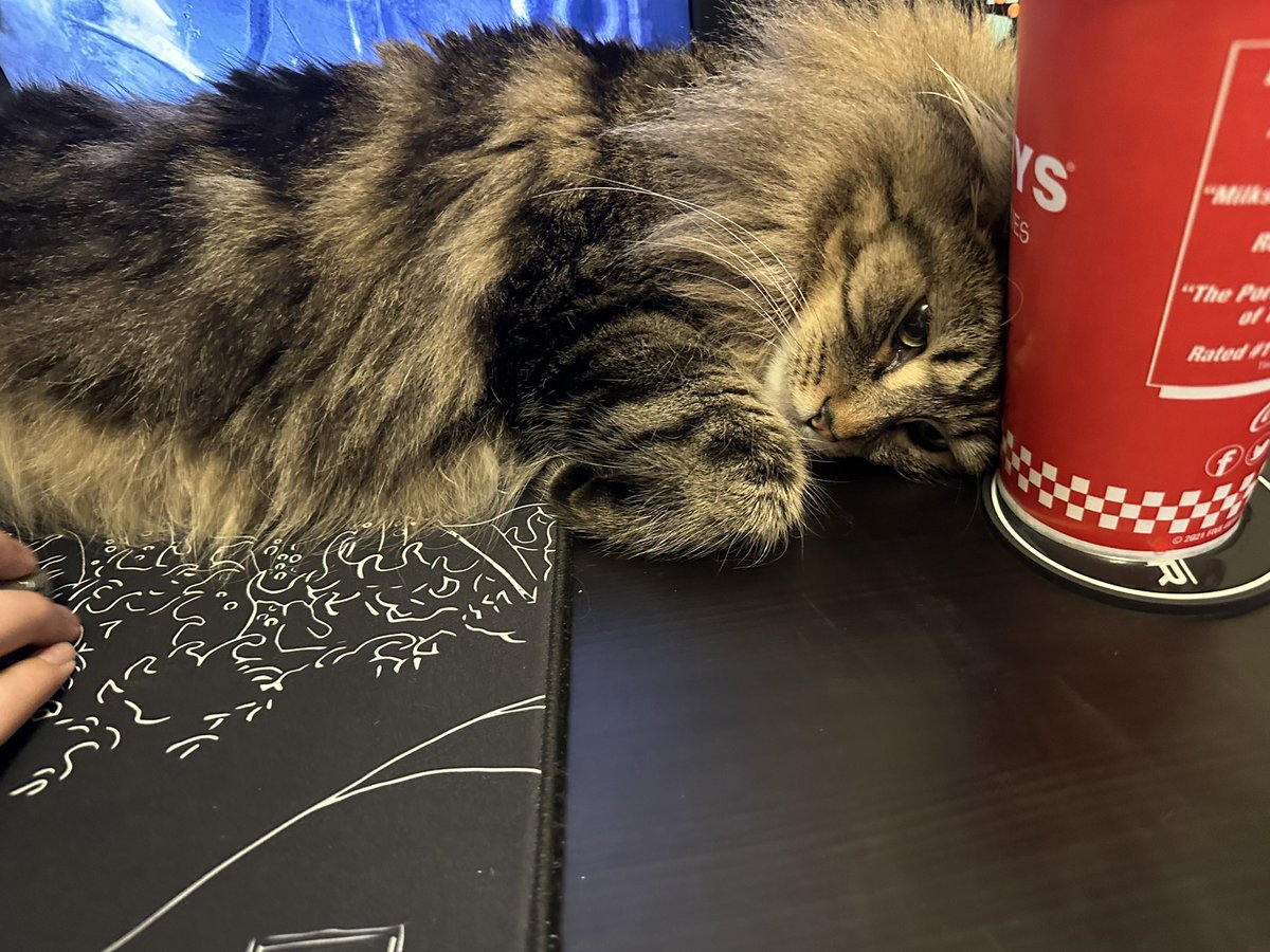 malabloo's tweet photo. anyone want him? https://t.co/aQPQbgen0S