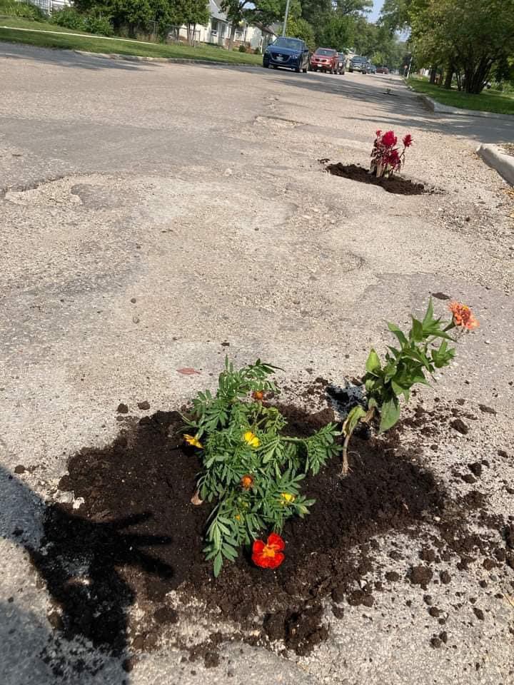 wpgpotholes's tweet photo. How to beautify our city… fill the potholes with flowers! Two days later the city came to fix the road. I hope to see more of this! #potholes #Winnipeg https://t.co/0EH4fQJF5W