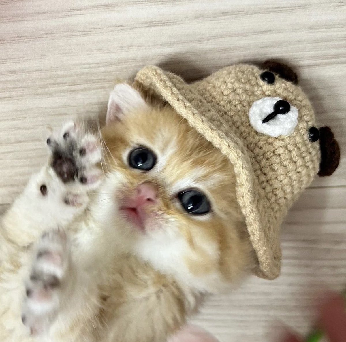 hum_yummy's tweet image. 😋✌️