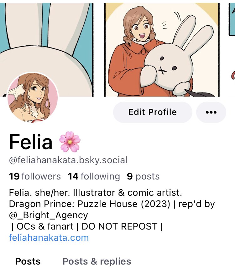 I'm also on bsky! You can follow me if you're there 💙