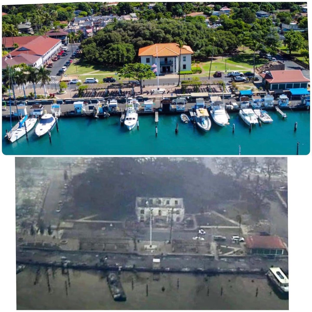 Pascal1Rodier's tweet photo. The Old Lahaina Courthouse, Pioneer Inn, Lahaina Harbor and the famous Banyan Tree.  Before…and sadly, after💔 #lahaina #mauifires #lahainafire2023 https://t.co/XRtw6D5DfA