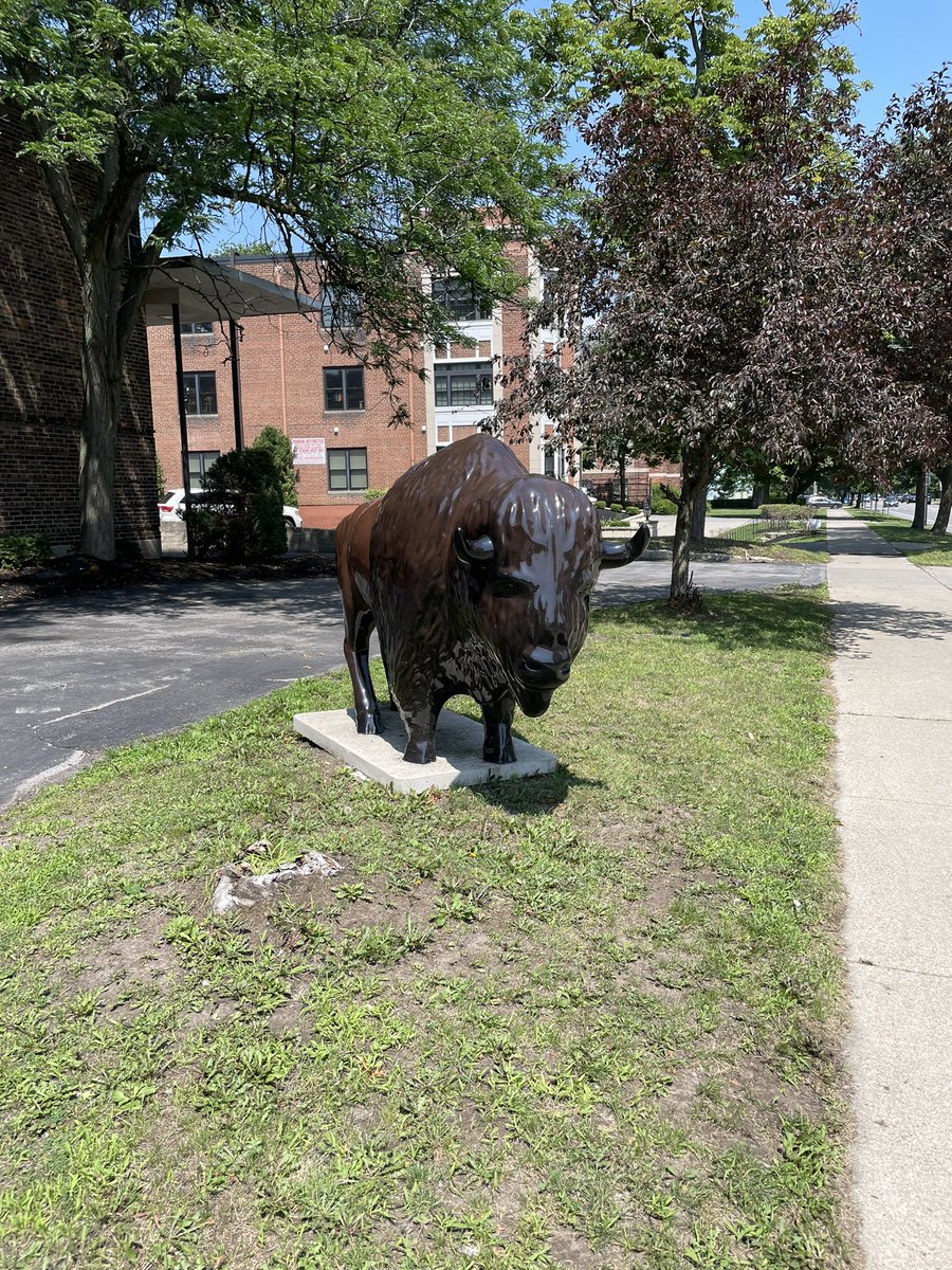 Jacinda H. Conboy tweet media