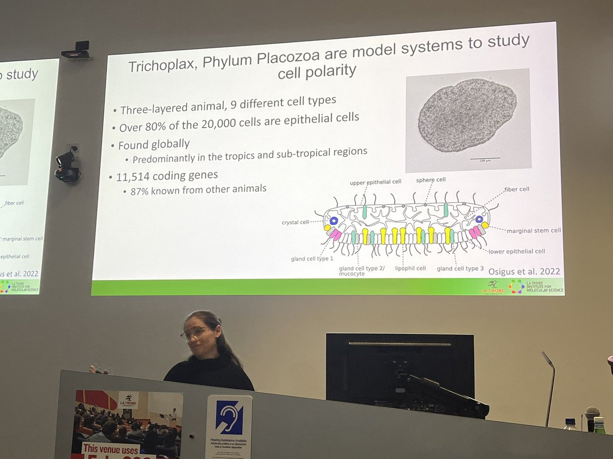 GRAS Lab (@graslab) on Twitter photo Next we have Bree Wright from <a href="/pohumbert/">Patrick Humbert</a> lab showing us her #PhD work on Trichoplast, a small and fascinating system 😄 @LIMSFellows <a href="/LIMSLTU/">La Trobe Institute for Molecular Science</a> Next we have Bree Wright from <a href="/pohumbert/">Patrick Humbert</a> lab showing us her #PhD work on Trichoplast, a small and fascinating system 😄 @LIMSFellows <a href="/LIMSLTU/">La Trobe Institute for Molecular Science</a>