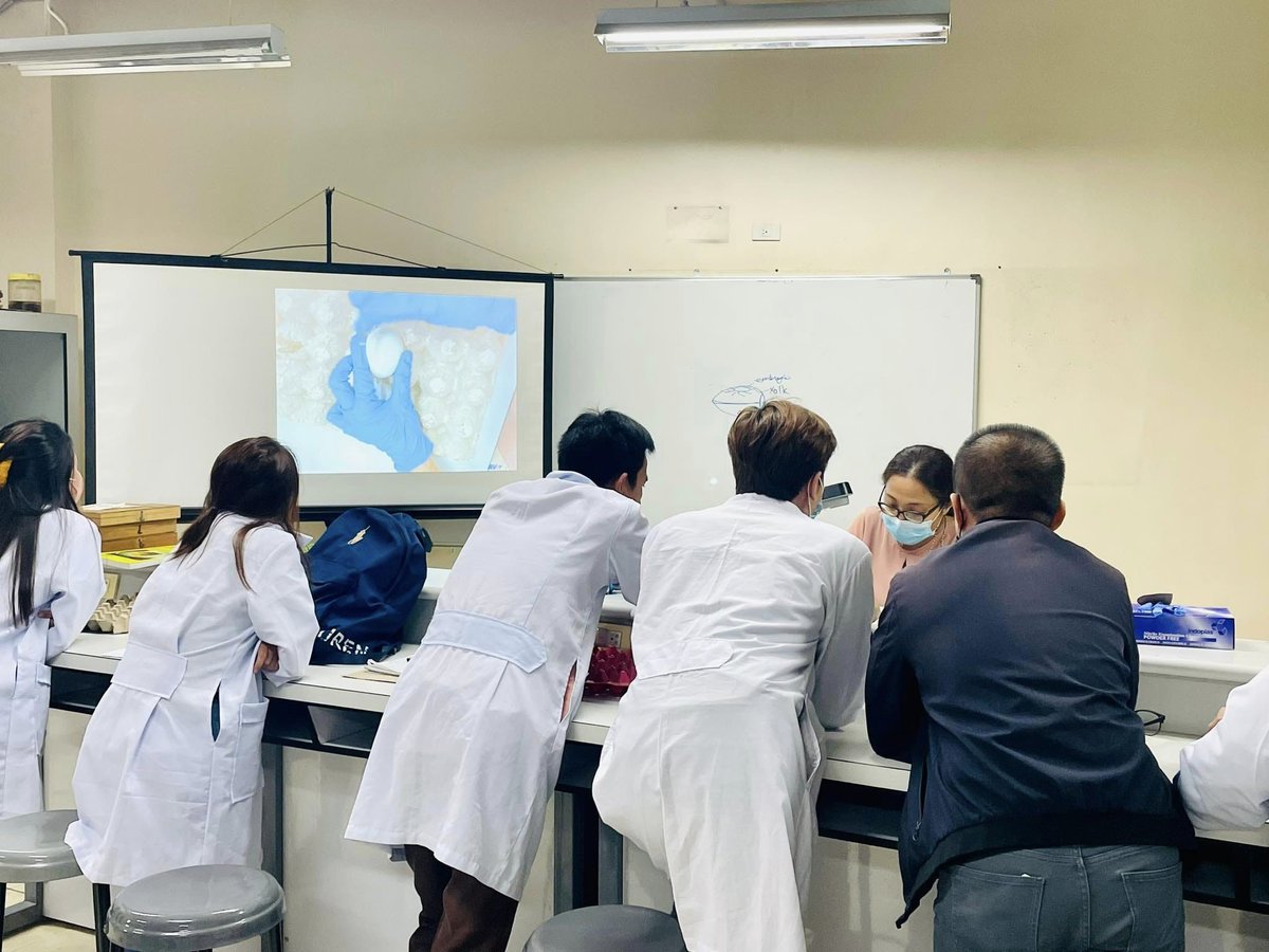 PhilSocDevBio's tweet image. Some photos 📸 from the recently concluded #PSDBMasterclass2023 at @Official_UPD