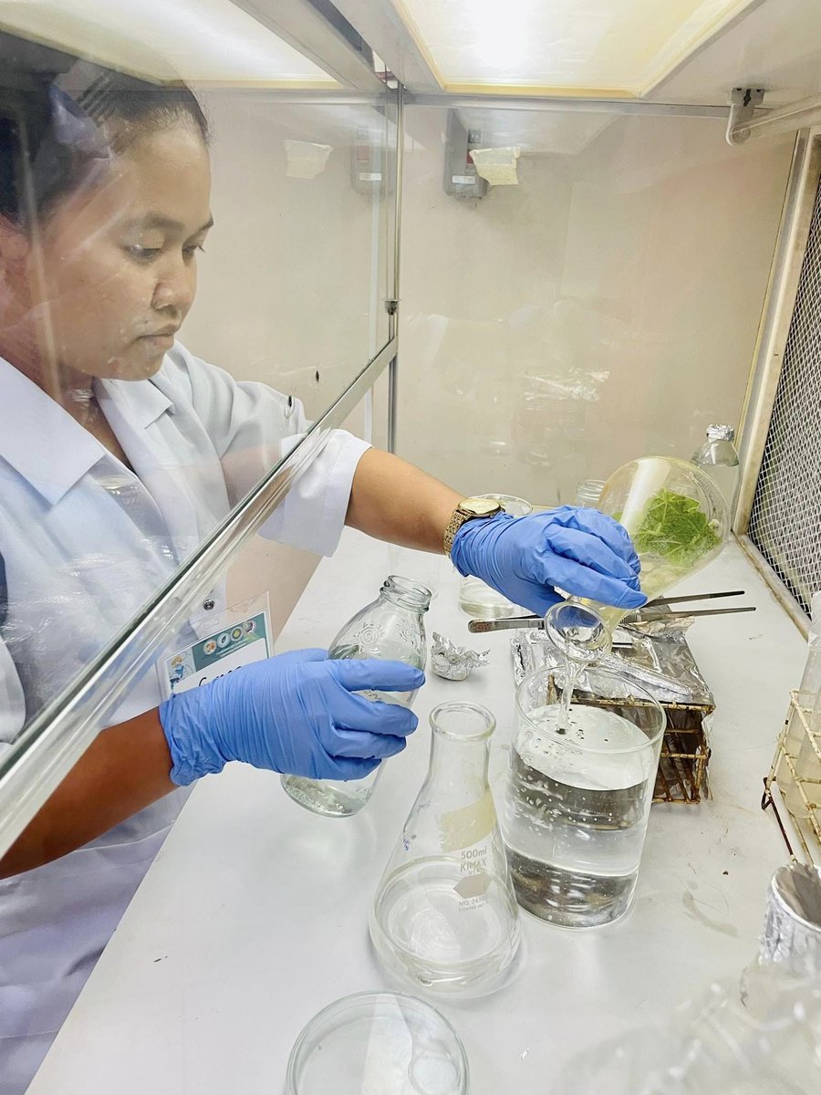 PhilSocDevBio's tweet image. Some photos 📸 from the recently concluded #PSDBMasterclass2023 at @Official_UPD