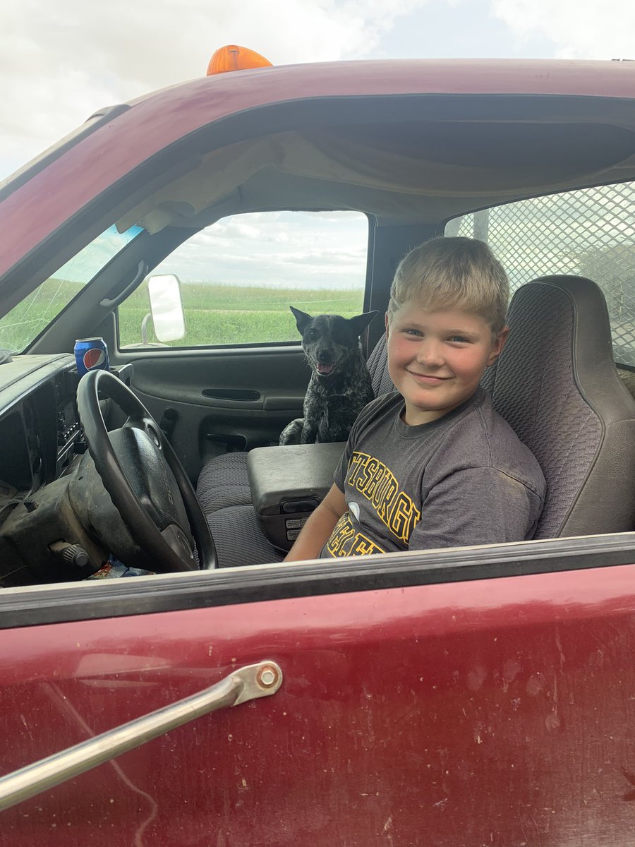 TimmCattle's tweet photo. just another summer day for these two #idiotbricks #farmkidstrong #saskag #showcattlelife https://t.co/Uk2c5uOHvy
