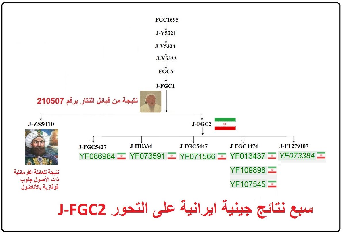 StudiesHuman's tweet image. رصد سبع نتائج جينية ايرانية بعضها بمورث ديلمي بمشجرة Y-FULLالعالمية على  J-FGC2  شقيق التحور الخفافي المزعوم  J-ZS5010  و الذي تكتلت عليه نتائج للأسرة القرمانلية والغز والقبائل الغير المنسوبة , علما بأن التحور الجامع لهذين الفرعين هو J-FGC1 عليه نتيجة من قبائل التتار في القرم   .