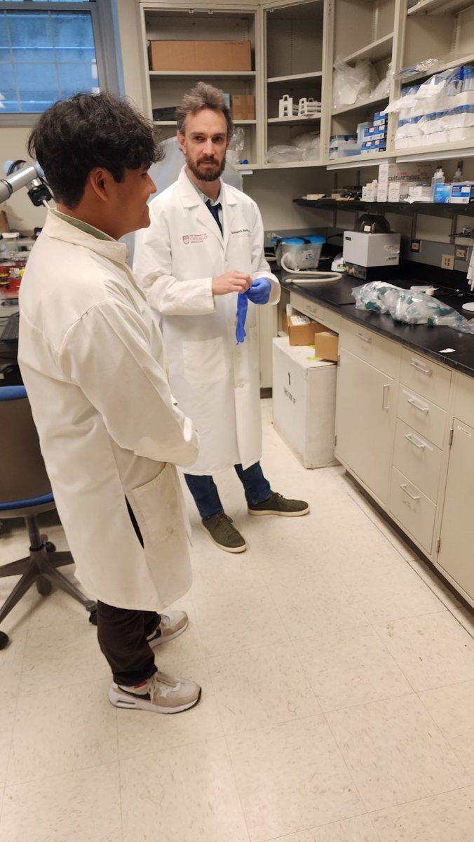 BADER Lab tweet media