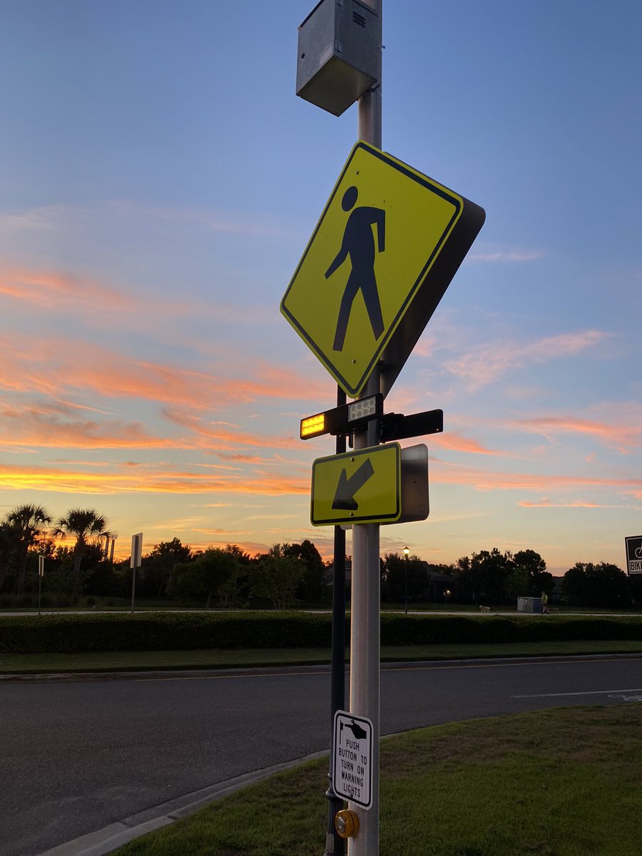 LLT Academy Tampa tweet media