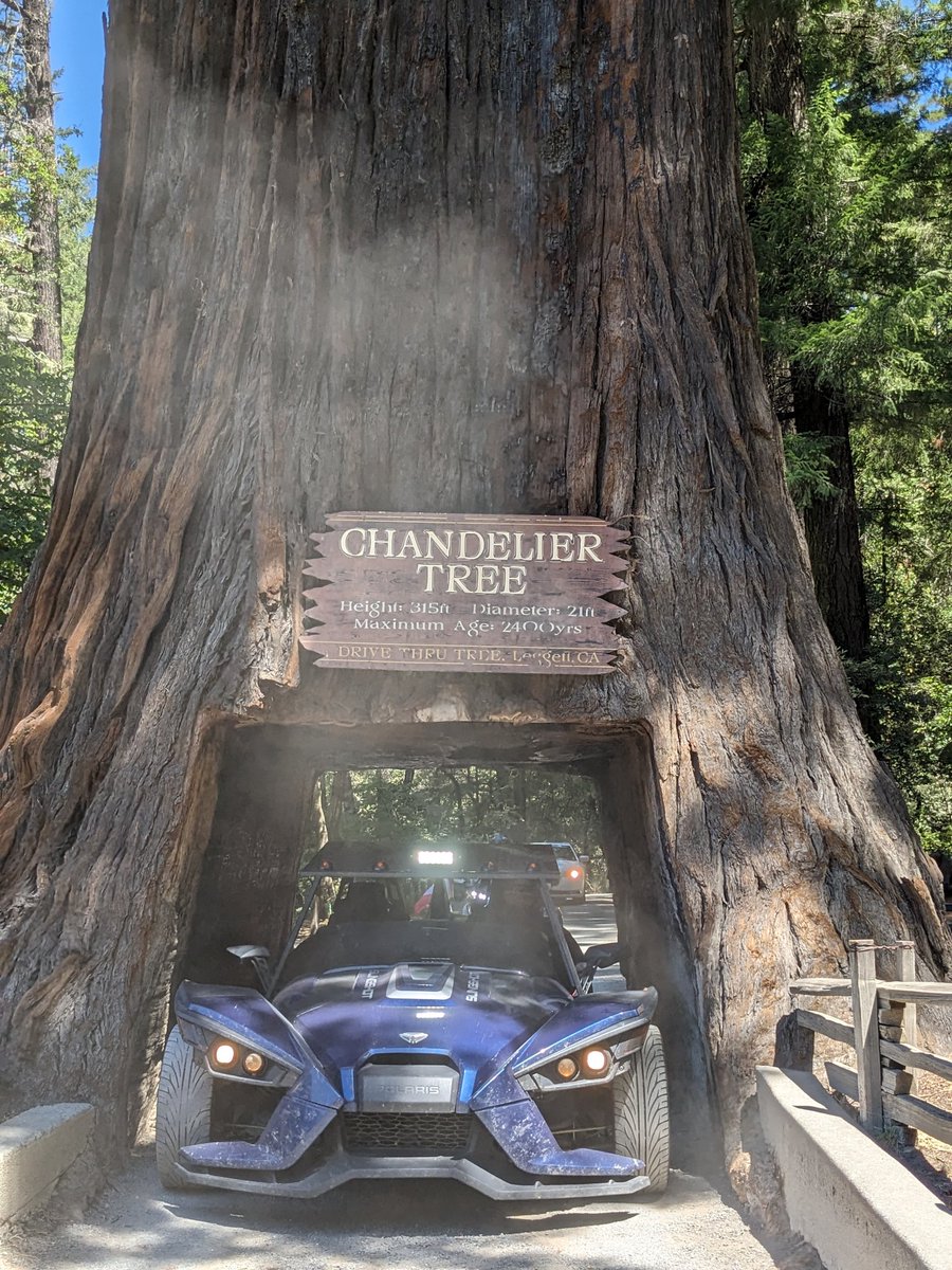 ElliottBessey's tweet photo. Who drove through a living tree today?
I did!
@MissTurala
#RandomStops https://t.co/8xQNHFT3Z2