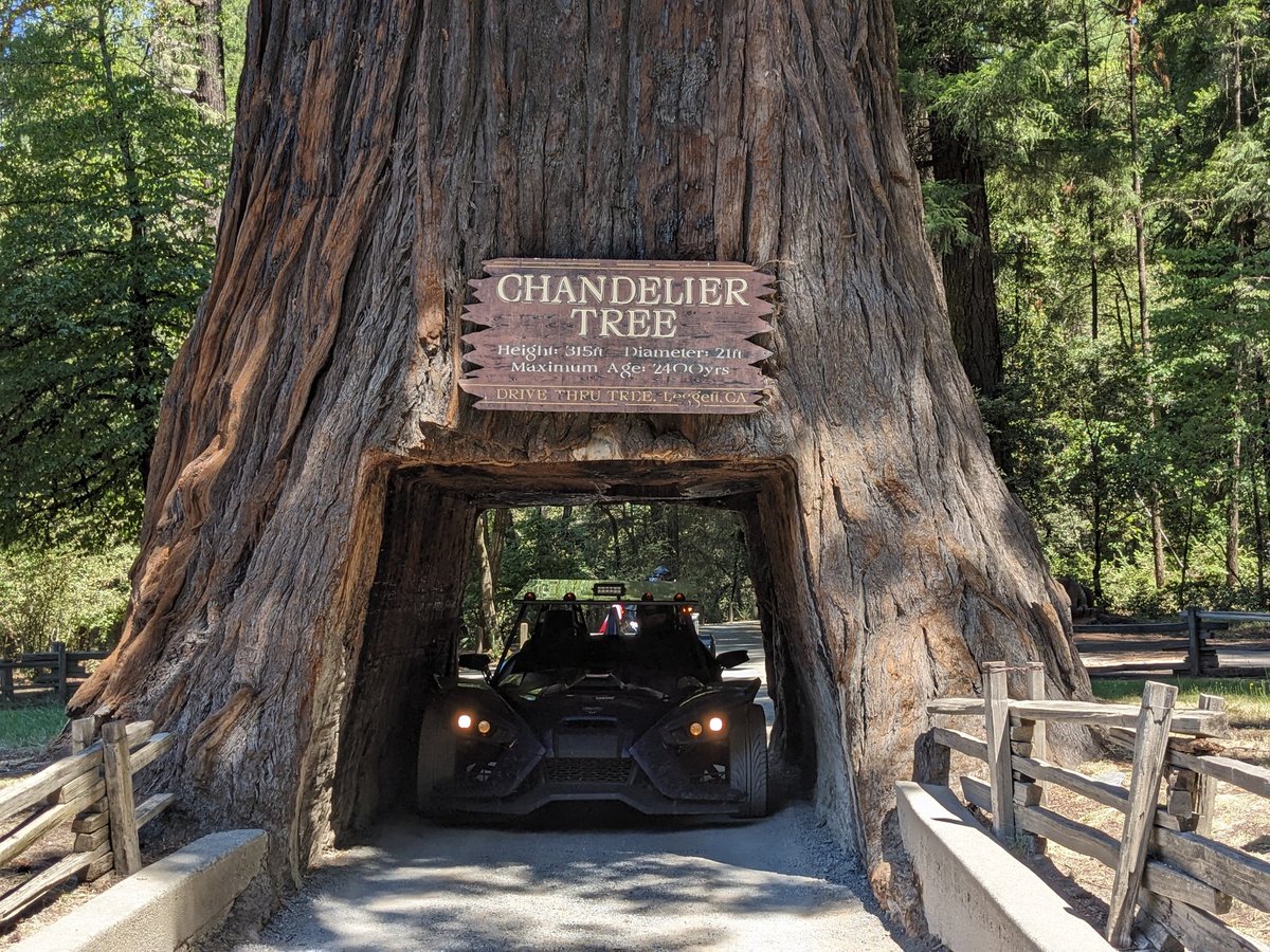 ElliottBessey's tweet photo. Who drove through a living tree today?
I did!
@MissTurala
#RandomStops https://t.co/8xQNHFT3Z2