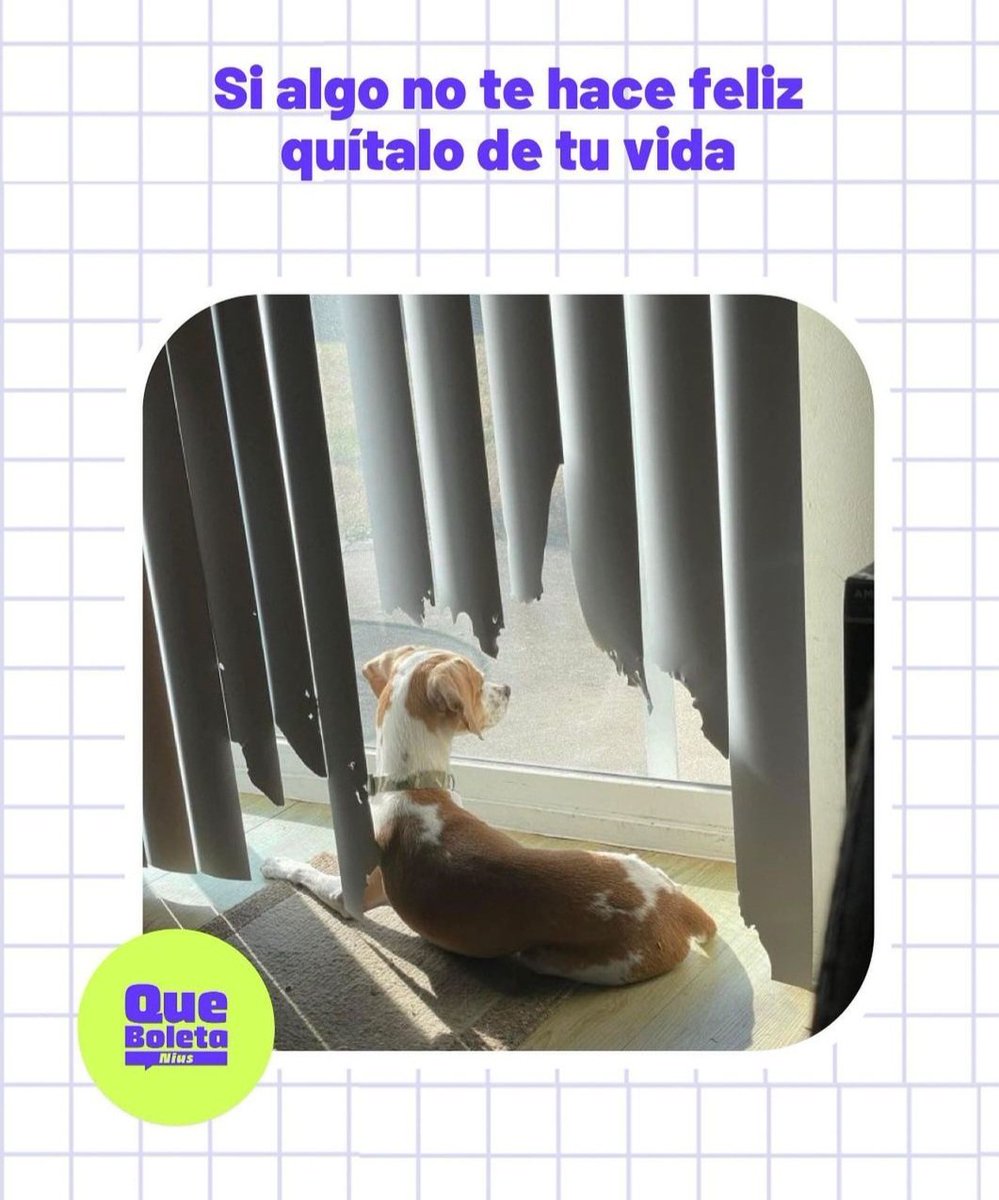 tatisuarez174's tweet photo. https://t.co/vSo9Oll46o