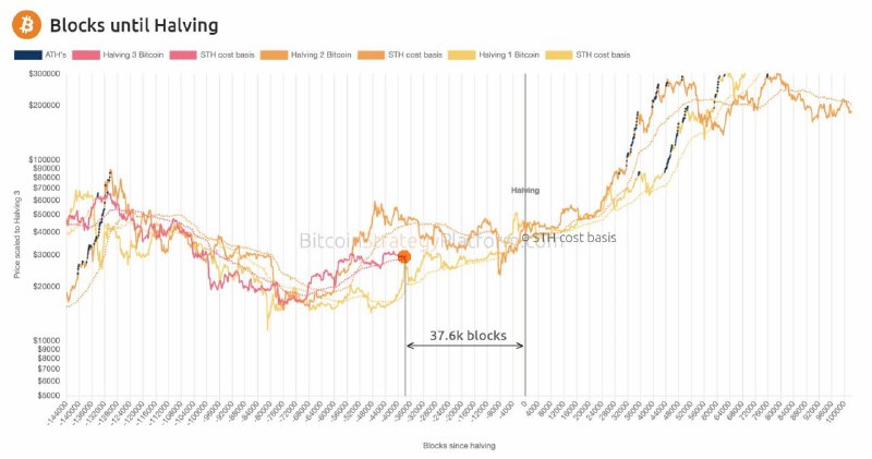 financialsooth's tweet image. ✴️ #btc #Cycles #Halling #Crypto
The current dynamics of the BTC course continues to accurately fits into the pattern of the course of the course between halvings