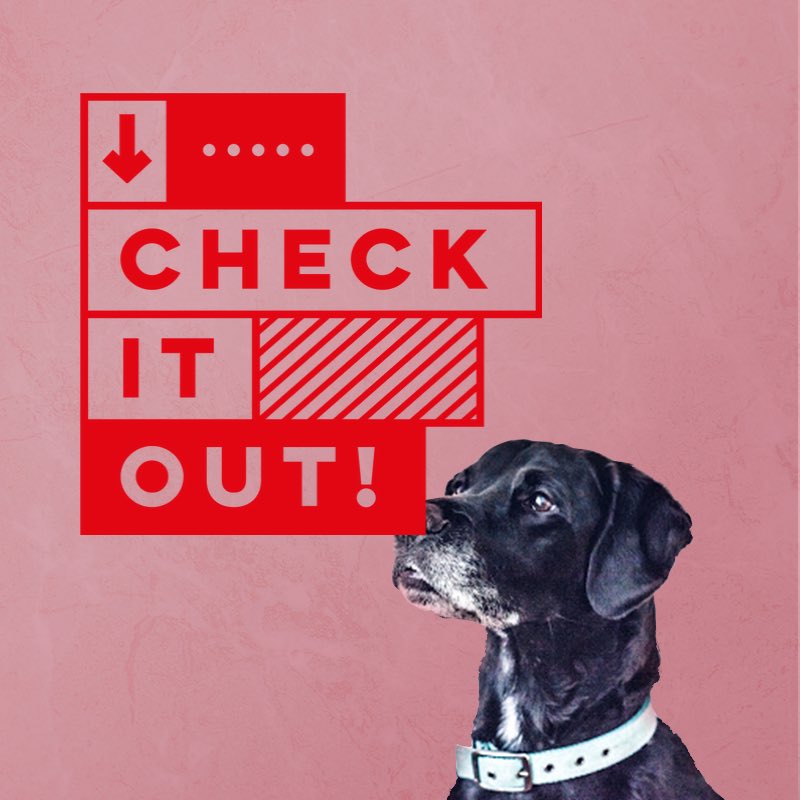 Joseph Palmieri (@palmierijoe13) on Twitter photo 