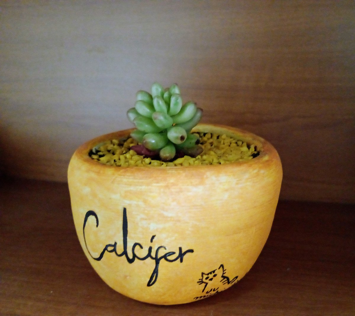MichiSad_22's tweet photo. Uno inspirado desarrolla habilidades artísticas que no sabe ni de donde salieron /⁠ᐠ⁠•ﻌ•⁠ᐟ⁠\

Pequeño Calcifer 🌱✨ https://t.co/IBUJHSFilq