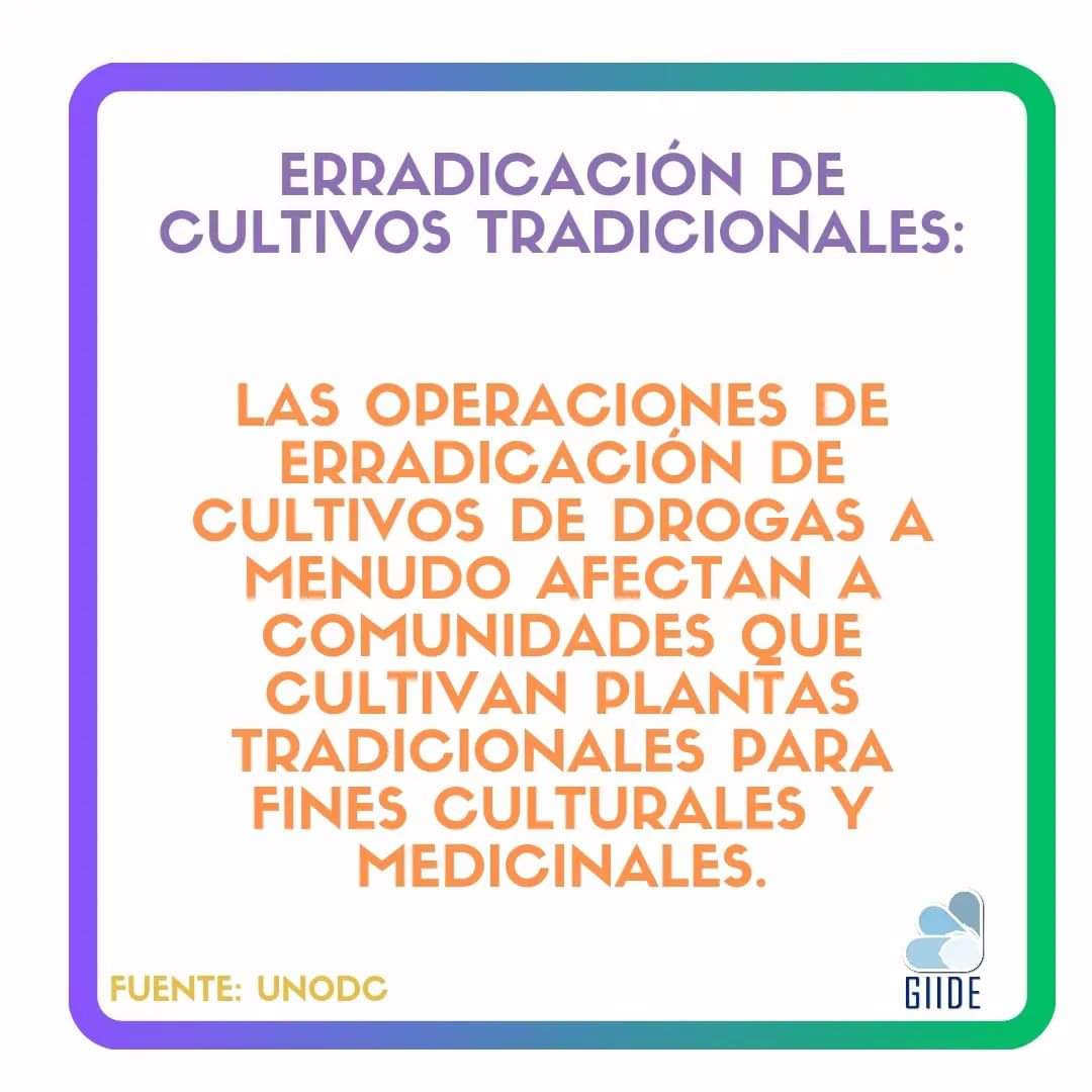 GIIDEcuador's tweet photo. #GIIDEinforma
9 de Agosto Día Internacional de los Pueblos Indígenas. 
Grupos cuya idiosincrasia ha sido históricamente incomprendida. Rescatamos el valor de la diversidad y evidenciamos q las drogas han servido de excusa para criminalizar ciertas prácticas ancestrales. https://t.co/K8qn5Z1gzB