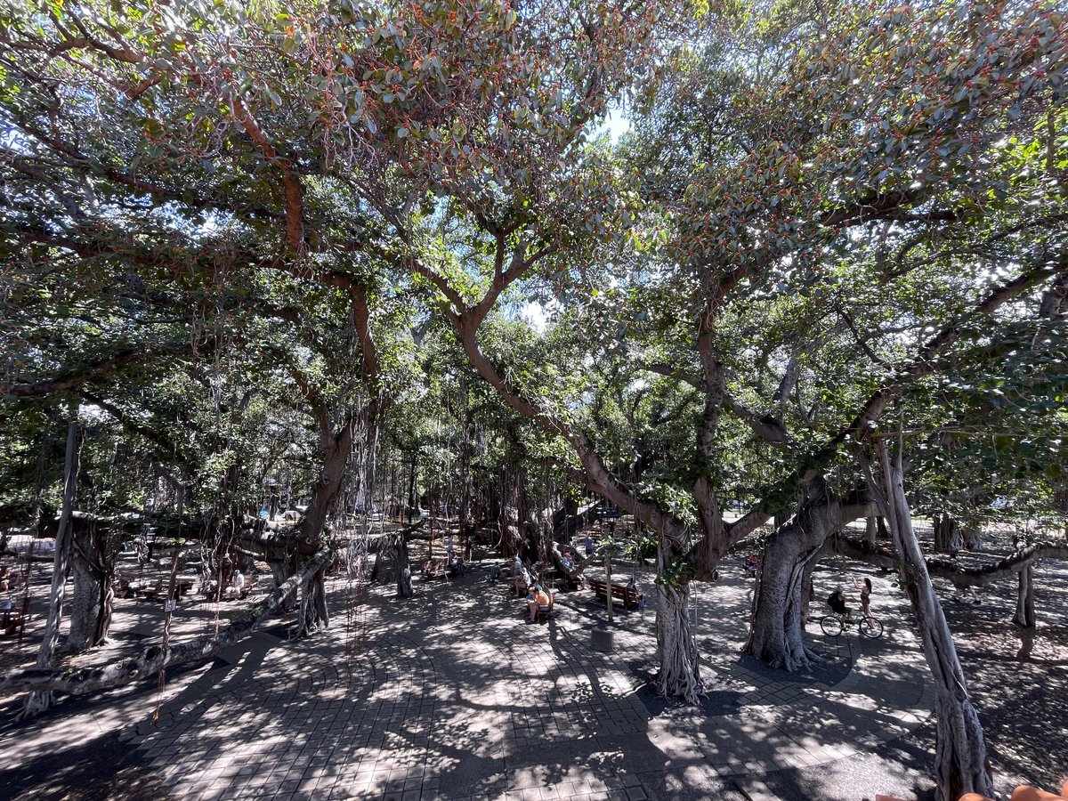 Keith Ridler tweet media