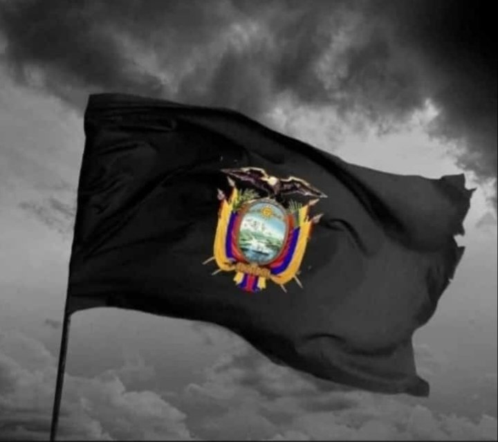 MariaFer050700's tweet photo. Ecuador,  en qué momento te convertiste en esto??

Dueles en las venas, en el alma, en el corazón 💔🖤 https://t.co/BtARFXG3m9