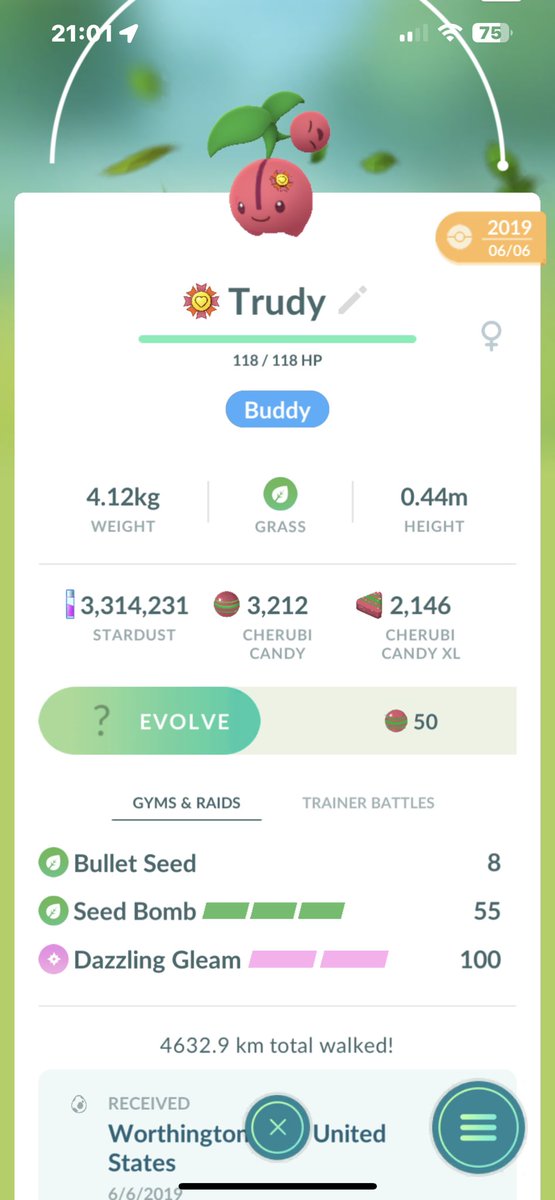 PacificJelly tweet media