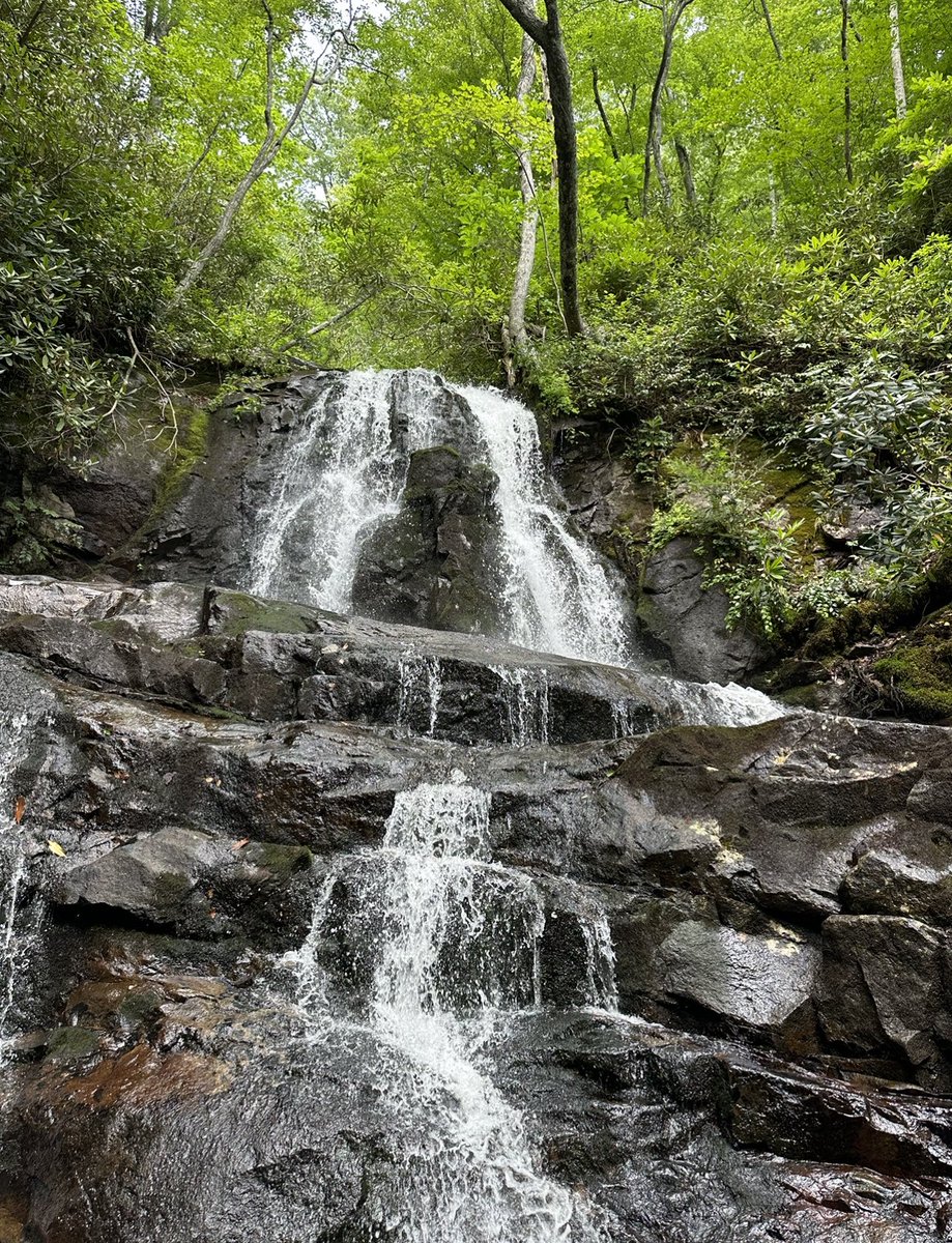 Laurel Falls 💞
#LaurelFalls #GSMNP #GreatSmokyMountains