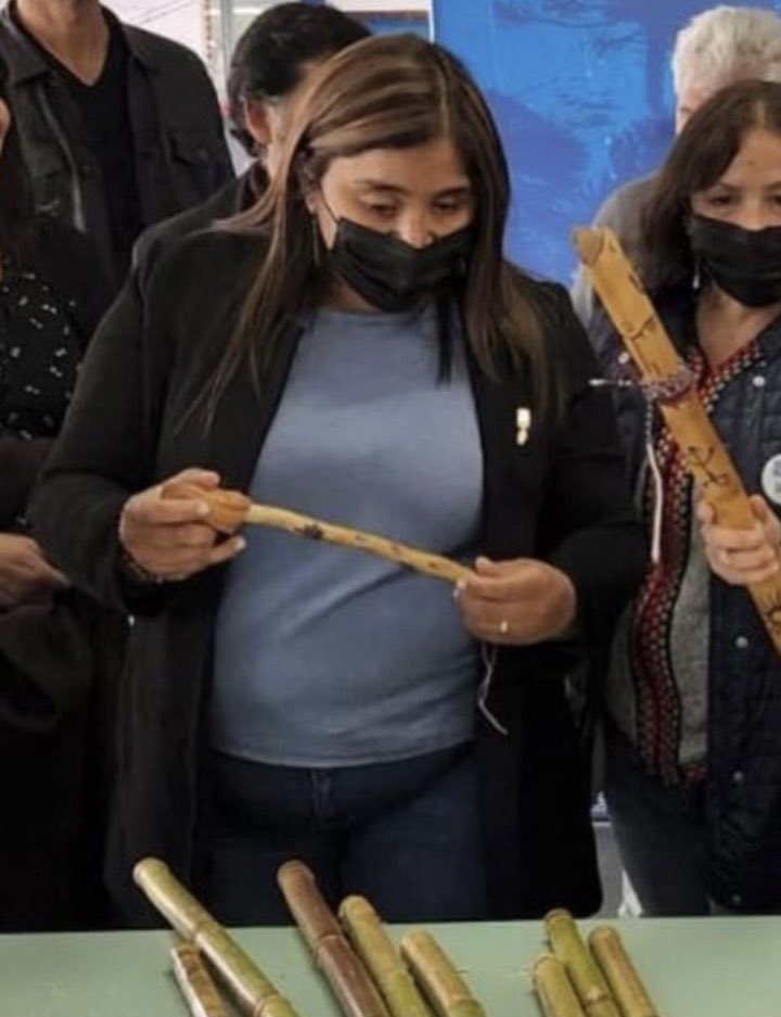 En Chile, si das una opinión la justicia te persigue, pero los que siendo Senadores llaman a quemarlo todo, no les pasa nada. Fuerza <a href="/DraMLCordero/">Dra. Maria Luisa Cordero</a>  #YoApoyoADraCordero #LibertadDeExpresión