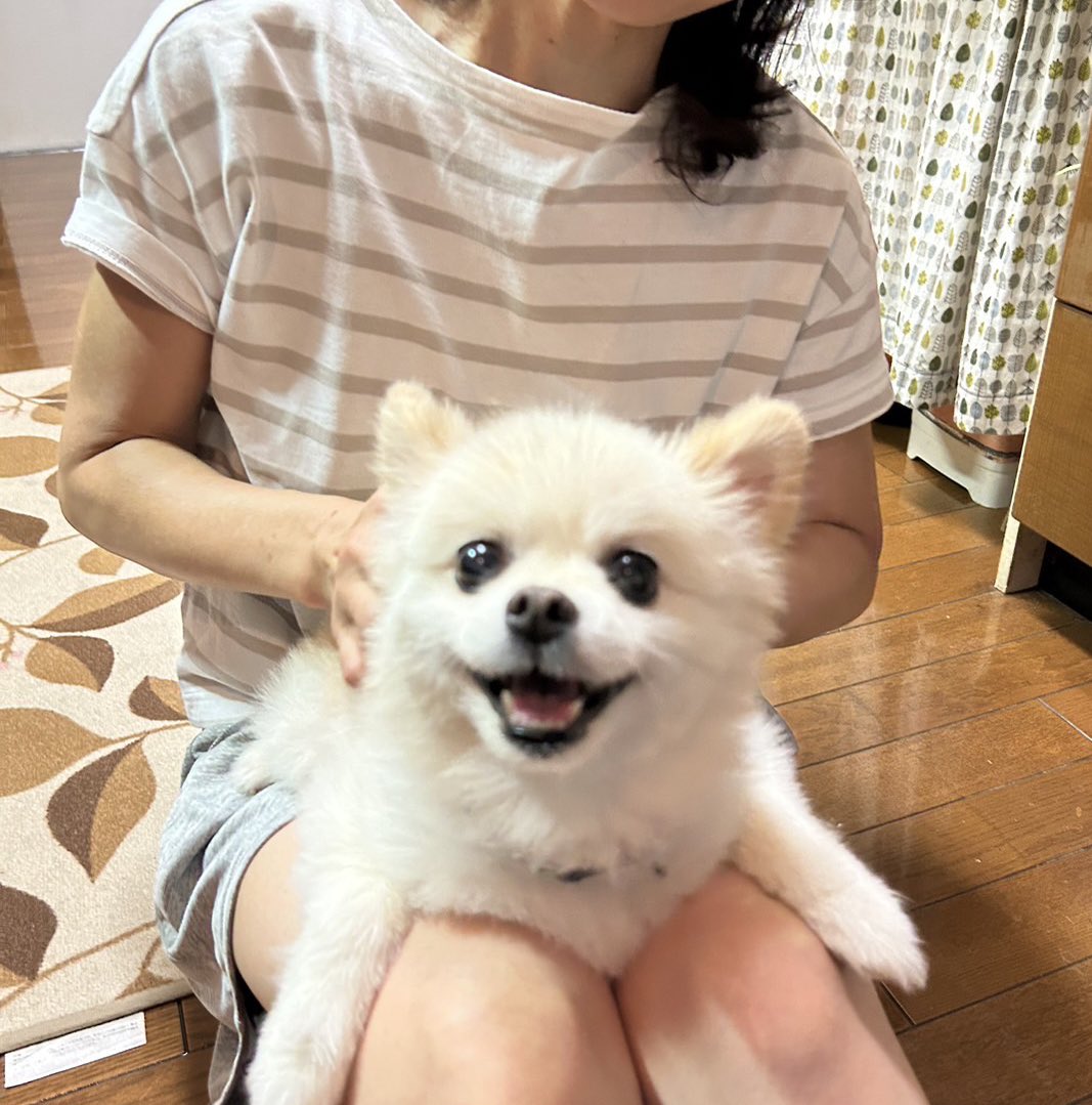 funachan0730's tweet photo. https://t.co/GM0TcGsgJP