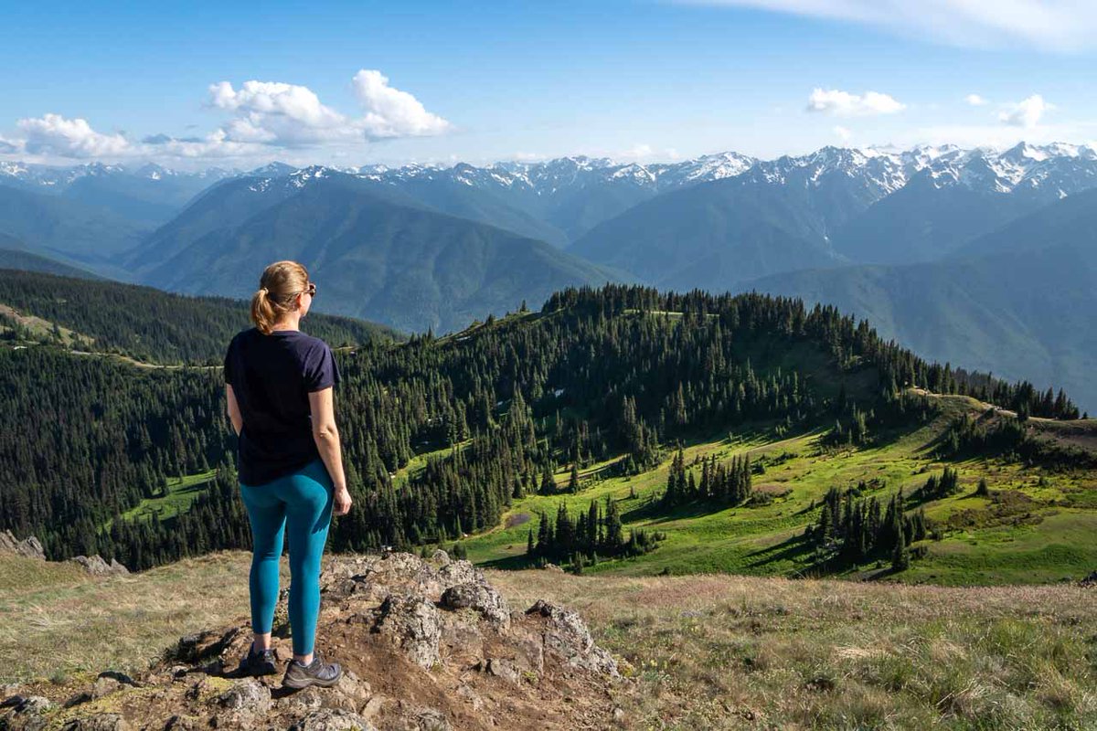 Madam_Zo_Zo's tweet photo. If the Sourdough Mountain fire is ruining your North Cascades plans this summer, why not head for Olympic National Park instead? #travel #nationalparks #pnw https://t.co/V3fyrpzxXI https://t.co/IcwGDRMNEC