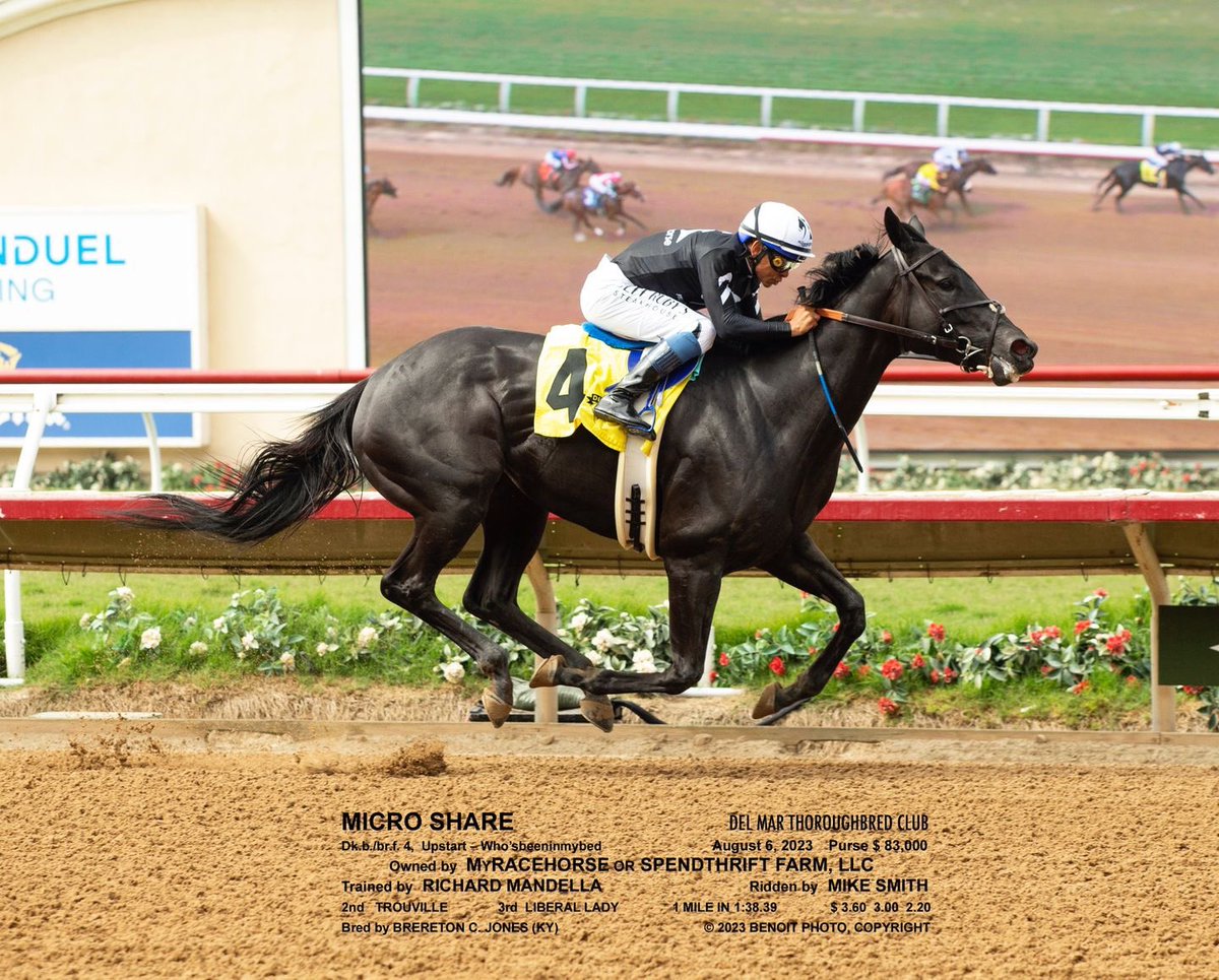 SarahHorsegirl's tweet image. Micro Share Sunday race day photos and winner&apos;s circle photo courtesy of track photographer Benoit Photo. #MicroShare #MyRacehorse