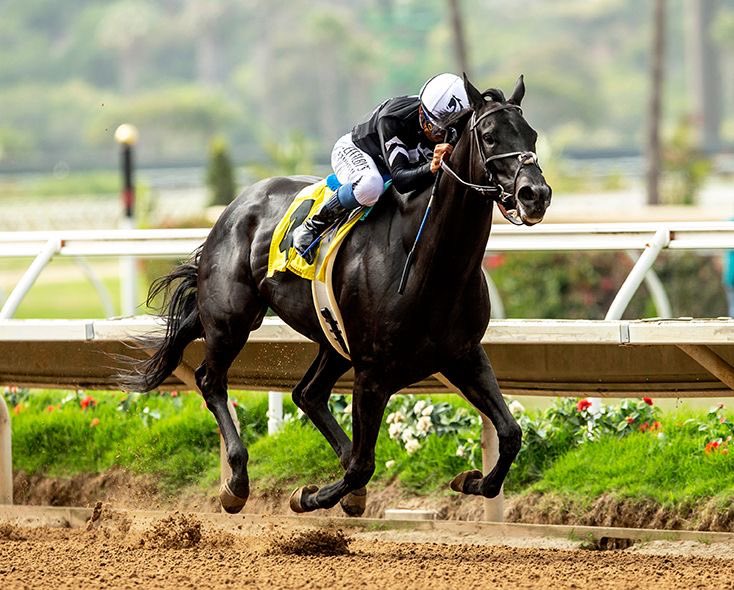 SarahHorsegirl's tweet image. Micro Share Sunday race day photos and winner&apos;s circle photo courtesy of track photographer Benoit Photo. #MicroShare #MyRacehorse