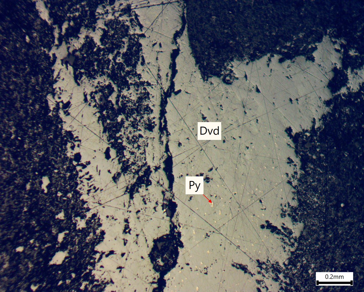 Reflected light photomicrograph showing davidite (Dvd; (La,Ce,Ca)(Y,U)(Ti,Fe3+)20O38) with minor fine-grained pyrite (Py; FeS₂) from Portugal, East Africa.

View our RL Library Here - oregradepetrology.com.au/photomicrograp…

#geology #geoscience  #petrology #petrography #thinsectionthursday