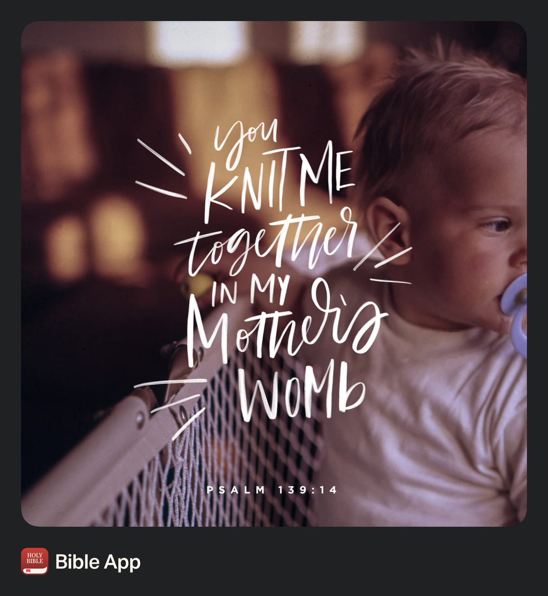 ashlynn 🤗 tweet media