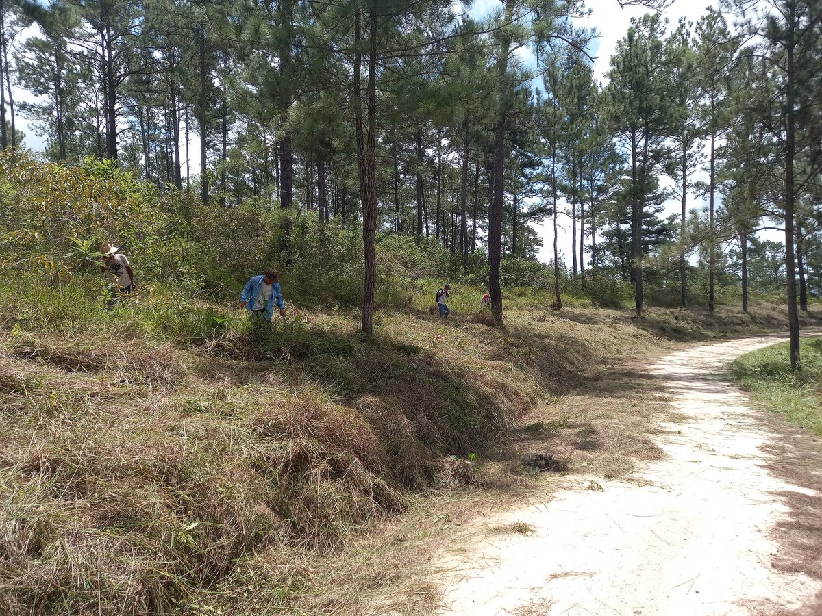 wilsoneib2007's tweet photo. El día sábado 05 de agosto, nuestra comunidad realizó actividades muy importantes. Se limpiaron las áreas a orillas de la carretera ⛰️🏔desde el rótulo del sasal hasta el proyecto piscícola de nuestra bella comunidad de Vallecito, Culmí. https://t.co/K9inaUKrcV