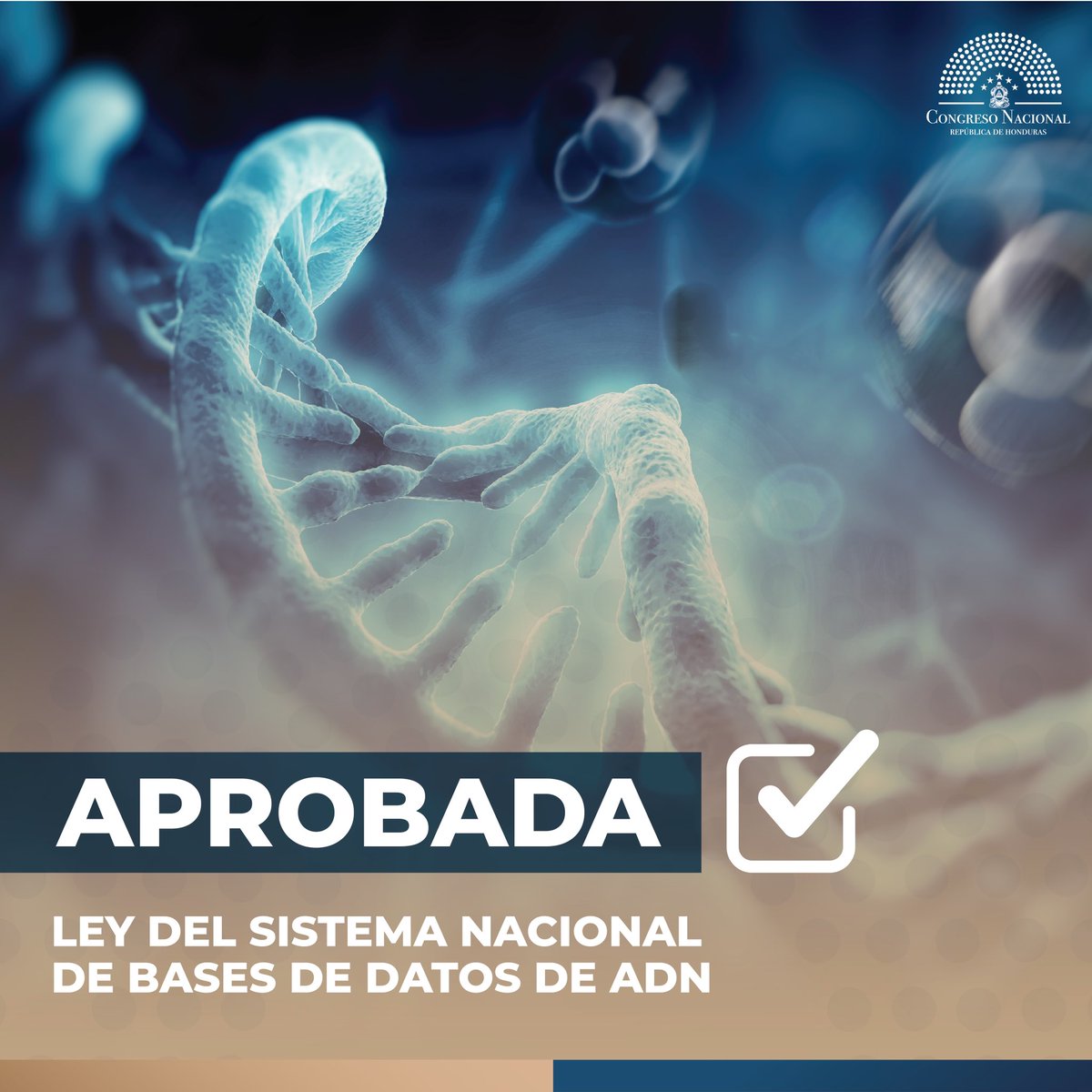 Congreso_HND's tweet photo. ✅ 𝐀𝐏𝐑𝐎𝐁𝐀𝐃𝐀 | Ley del Sistema Nacional de Bases de Datos de ADN. https://t.co/ouaY9kvvNE