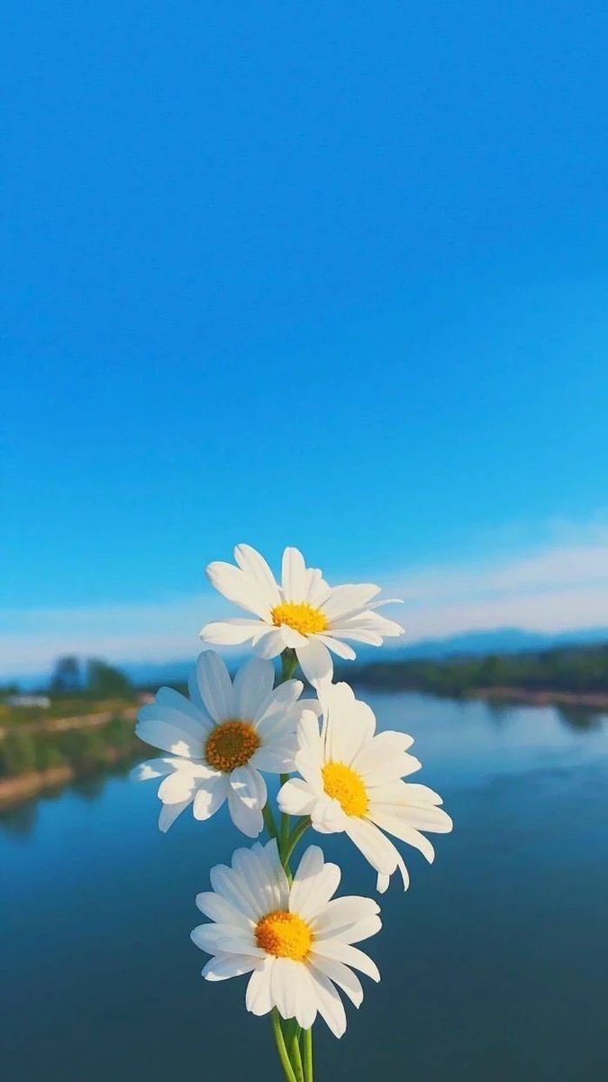 finally_dude's tweet photo. காலை வண்ணம் 💚🌱
subscribe our youtube channel
⤵️⤵️⤵️⤵️
https://t.co/ury4hR3UnZ (FINALLYDUDE)
⤵️⤵️⤵️⤵️
➡️➡️ #finallydude ⬅️⬅️ https://t.co/QRk1OxtPys