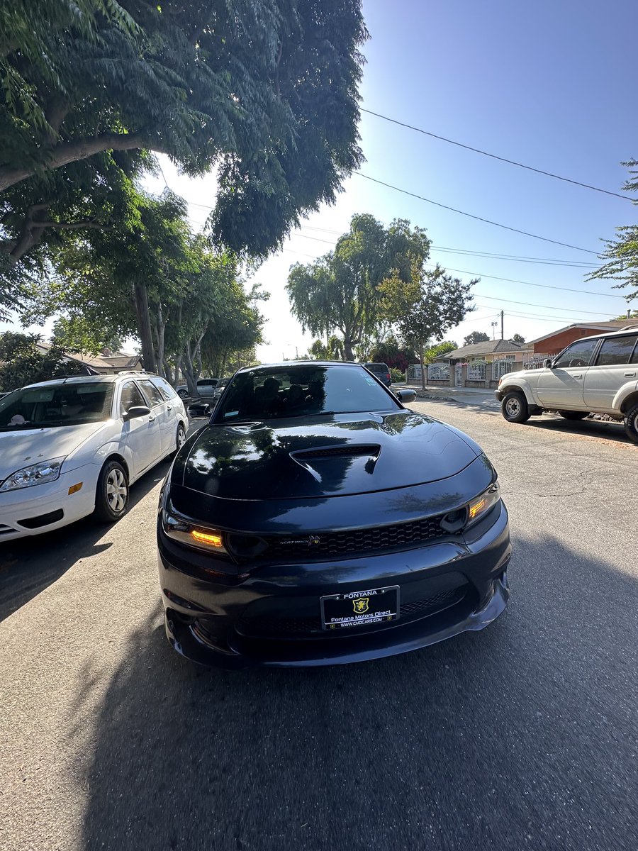 Splitzyyy_'s tweet photo. Got a scat n still get no cat 💔 https://t.co/umdloai0WQ