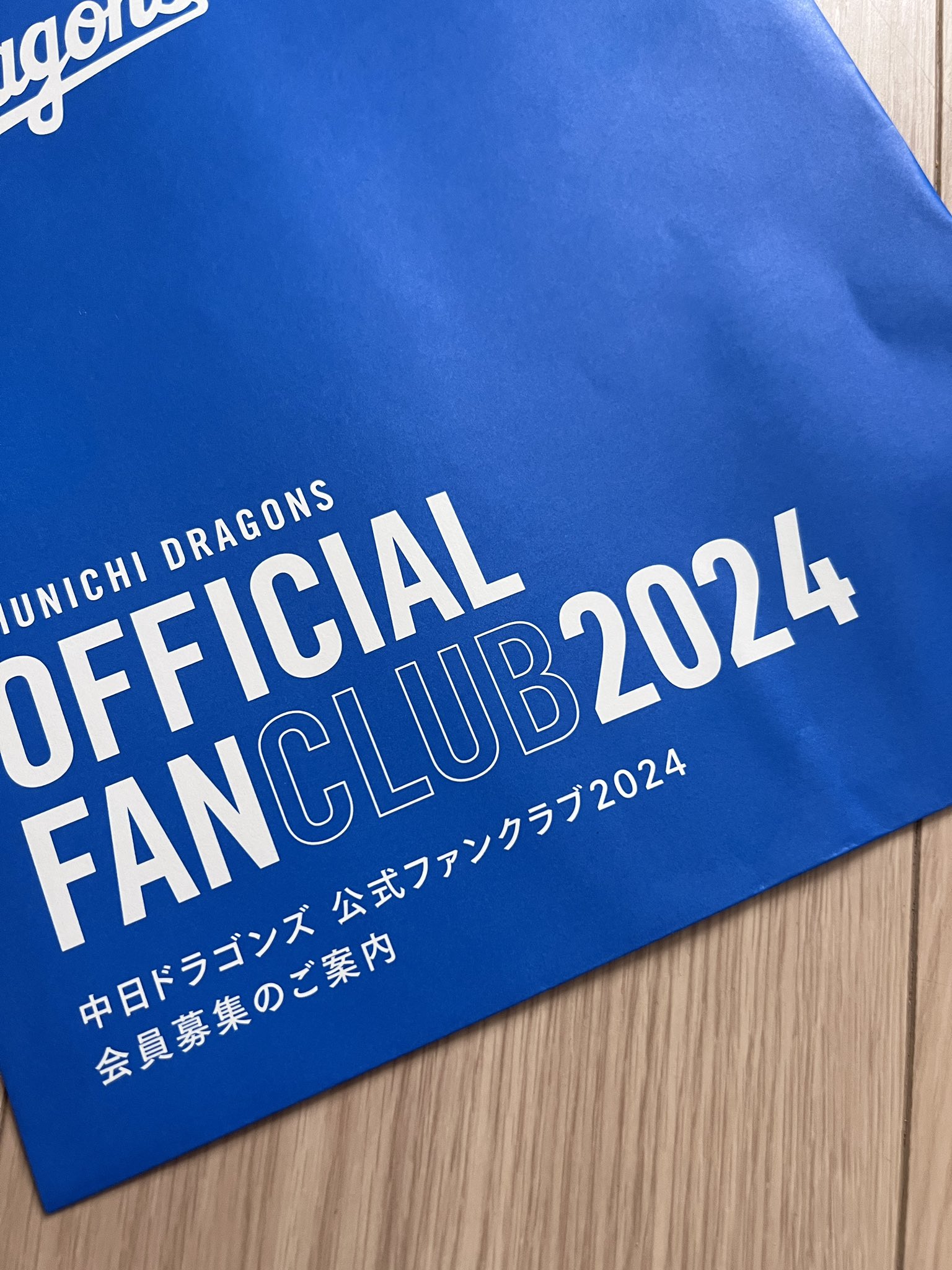 中日ドラゴンズ 大人し ファンクラブ トートバッグ 新品