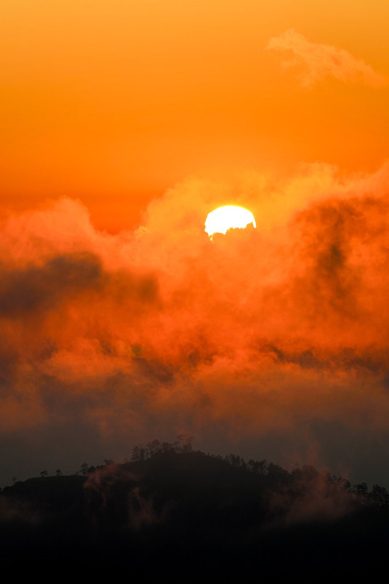 ClaireUjma's tweet photo. Gm all!

You only get one sunrise per day. 🧡

#Bali https://t.co/sV5fggEz53