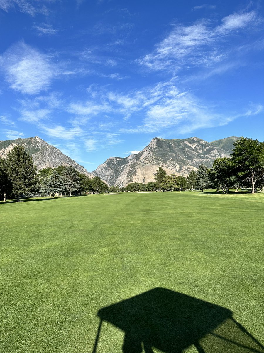 ATGreens1's tweet photo. The course is ready for club championship weekend #alpinecountryclub #championshipweekend #6 https://t.co/DkJrx2IjHn
