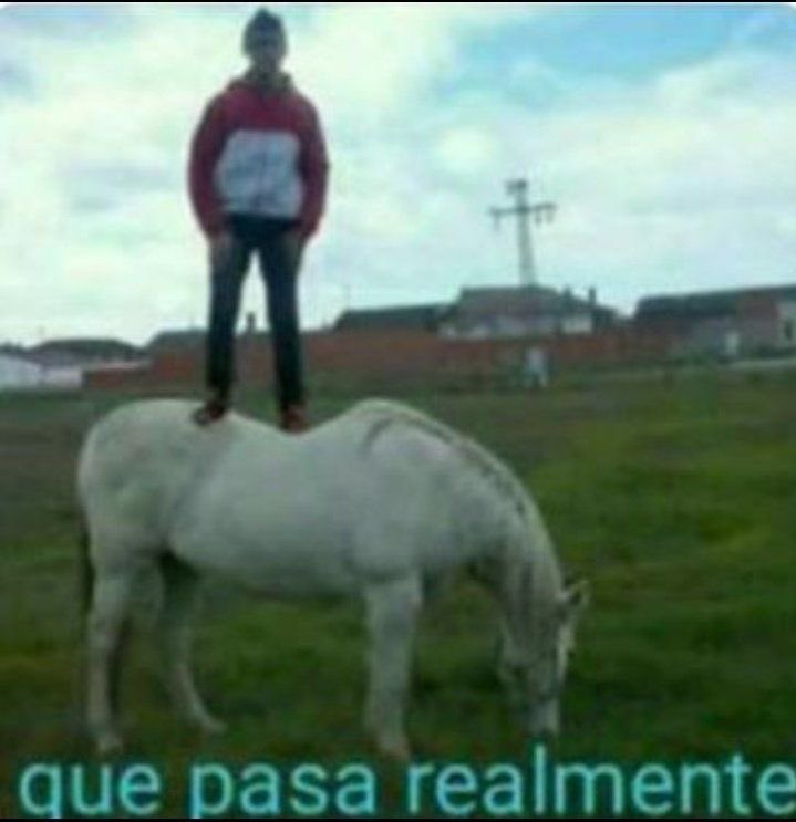 las_guamas_'s tweet image. bueno mi gente es hora de gritarle al aire (twitter) la historia de cómo resultó un señor loquito esquizofrénico acosándome por años, situación que sigue vigente en este momento