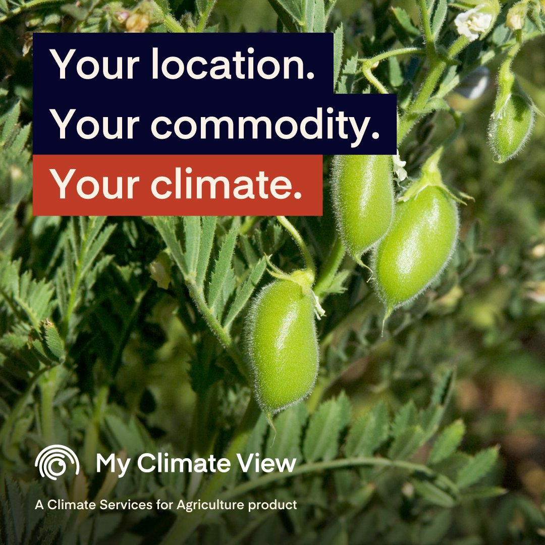 Farm_Link's tweet photo. To help plan your cropping mix, check out π https://t.co/FVtCigWYB1.
Explore past & future range in growing season rainfall & other climate projections for your location.
@Bureau @CSIRO #FutureDroughtFund #AusAg #ClimateServicesForAg #MyClimateView #agchatoz #graingrowers https://t.co/JLqi4KM6Ou