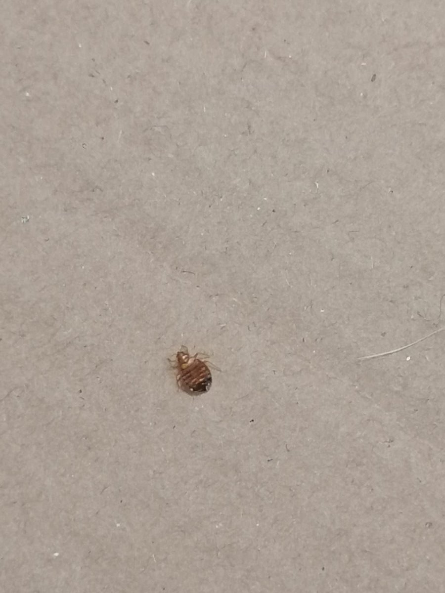 Salud y Economía. Economía y Salud tweet media