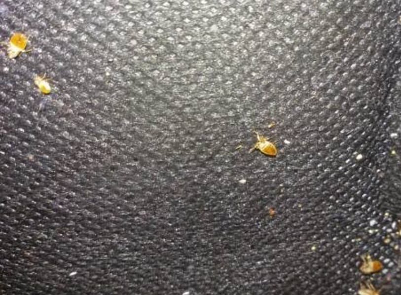 Salud y Economía. Economía y Salud tweet media