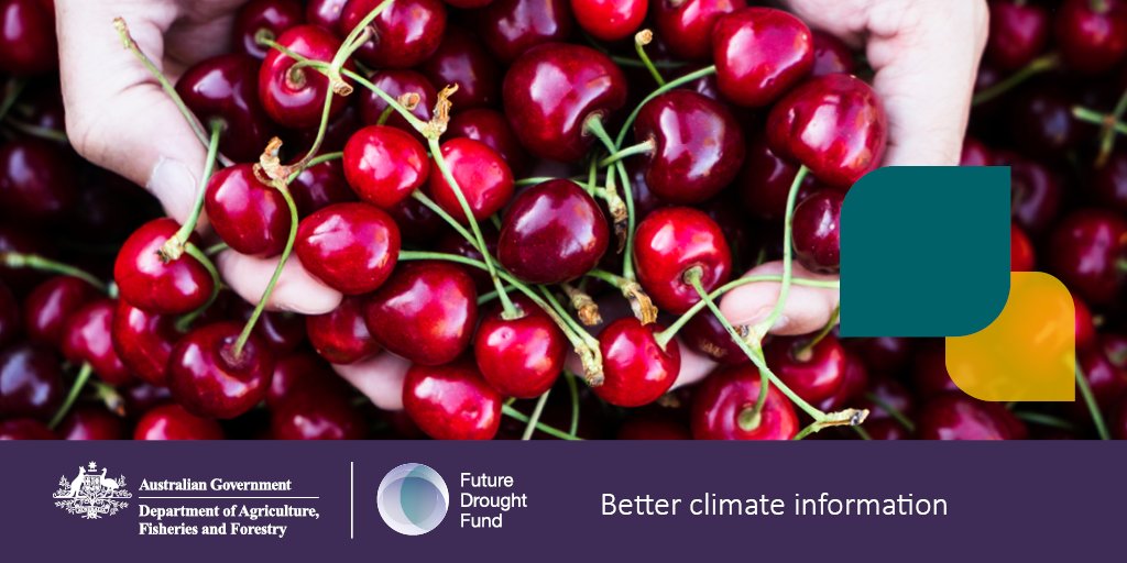 DAFFgov's tweet image. 🍒 Cherry growers, don't get into a jam! 

Developed by @BOM_au &amp;amp; @CSIRO, the #FutureDroughtFund’s 'My Climate View' tool gives Australian cherry growers a glimpse into the future climate for their local area.

Visit: myclimateview.com.au

#droughtresilience #AgClimate #AusAg
